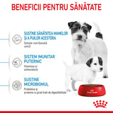 Royal Canin Mini Starter