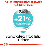 Royal Canin Mini Urinary Care