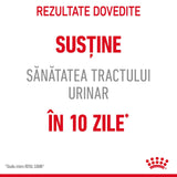 Royal Canin Urinary Care Plic 85 G