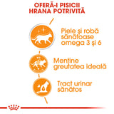 Royal Canin Hair&Skin Care in Sos 85 G