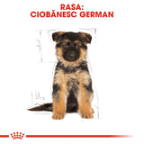 Royal Canin German Shepherd Junior