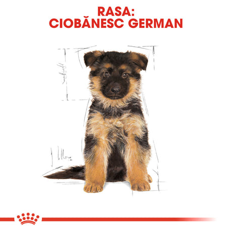 Royal Canin German Shepherd Junior