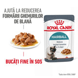 Royal Canin Hairball Care Gravy Plic 85 G