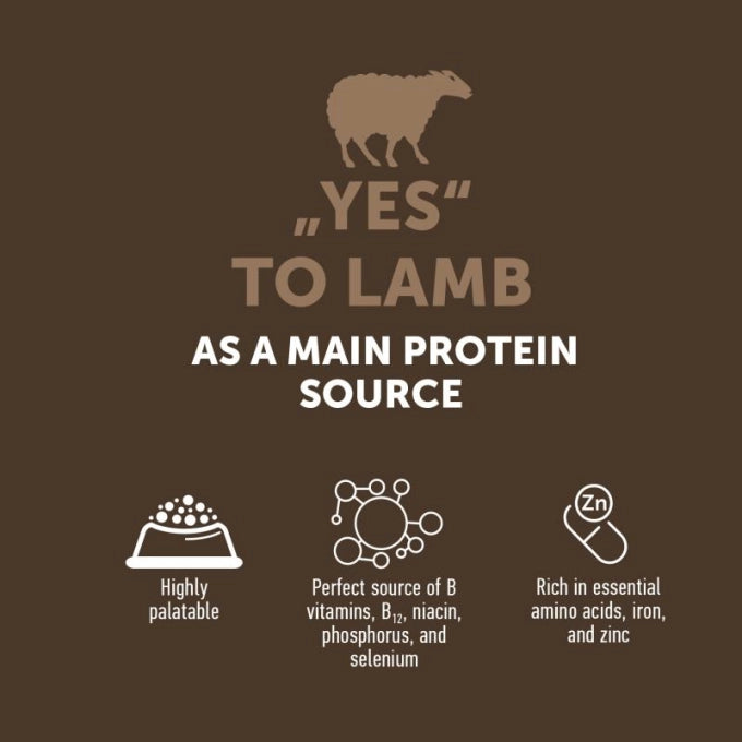 Nature's Protection Lifestyle Grain Free Adult All Breed cu Miel