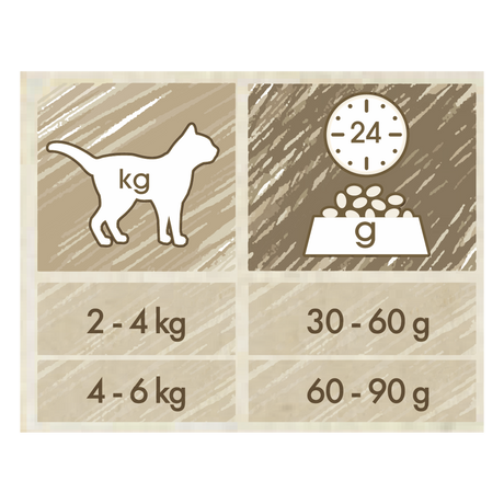Cat Chow Adult Somon