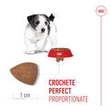 Royal Canin Mini Puppy