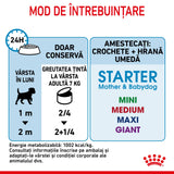 Royal Canin Starter Mousse Conserva