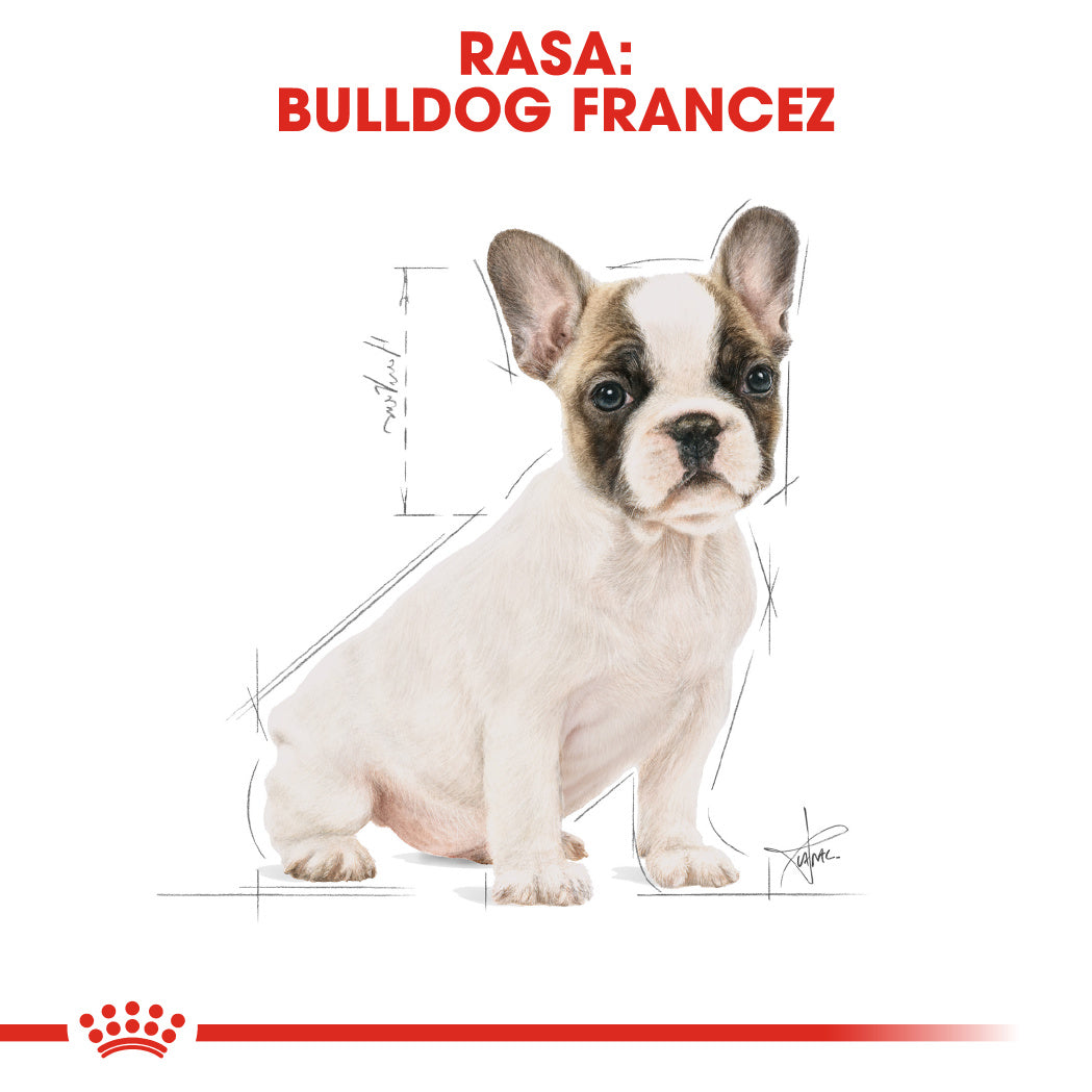 Royal Canin French Bulldog Junior