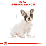 Royal Canin French Bulldog Junior