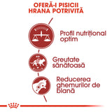 Royal Canin Fit 32