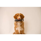 Natures Protection Lifestyle Snack Grain Free Active&Fresh pentru Catei Juniori cu Peste Alb