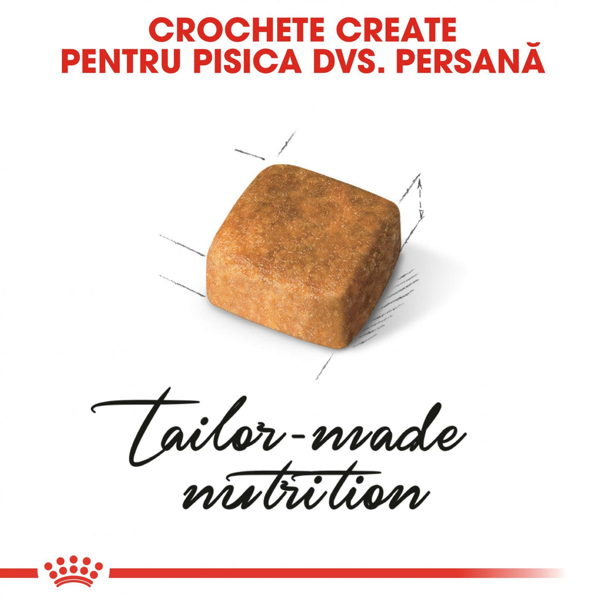 Royal Canin Persian Kitten