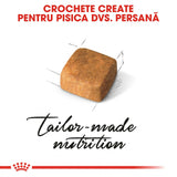Royal Canin Persian Kitten