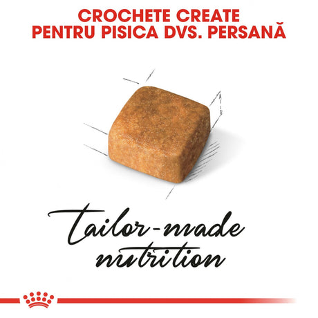 Royal Canin Persian Kitten