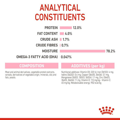 Royal Canin Kitten In Gravy Plic 85 G