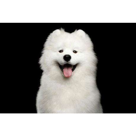 Superior Care White Dogs Snacks Oral Care cu Insecte 150 Gr