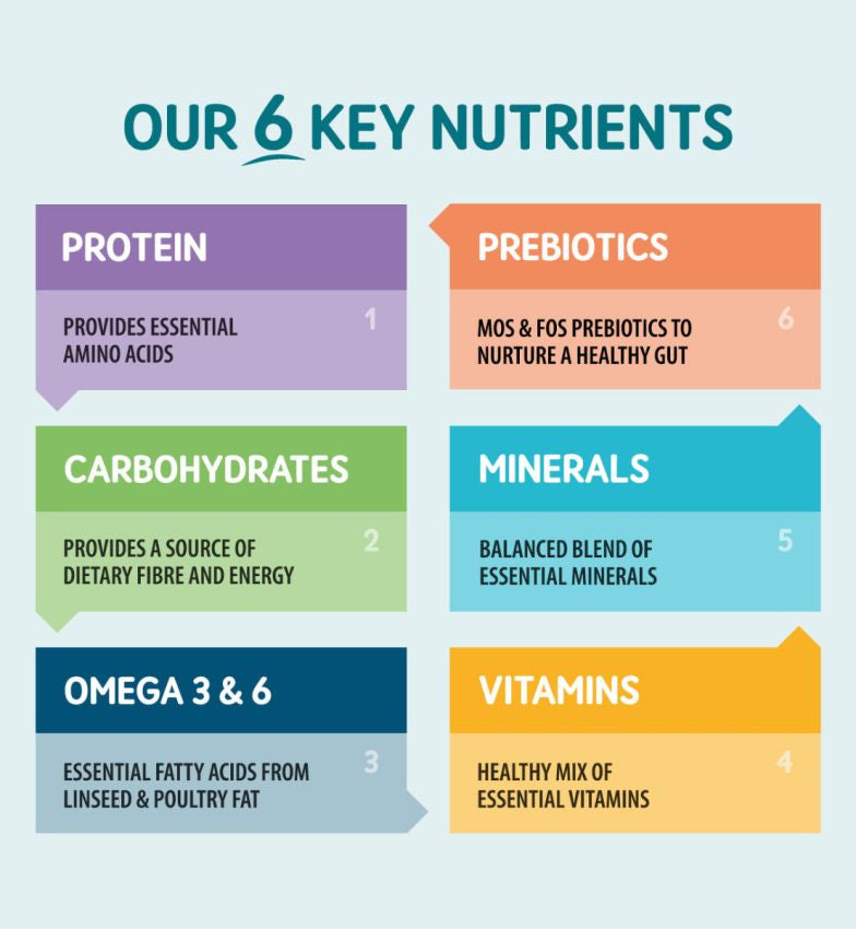 Naturo – prezentarea celor șase grupe de nutrienți