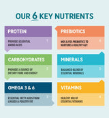 Naturo – prezentarea celor șase grupe de nutrienți