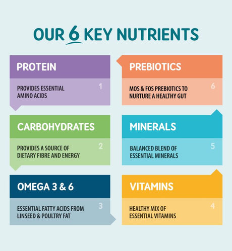 Naturo – prezentarea celor șase grupe de nutrienți