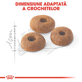 Royal Canin Fit 32