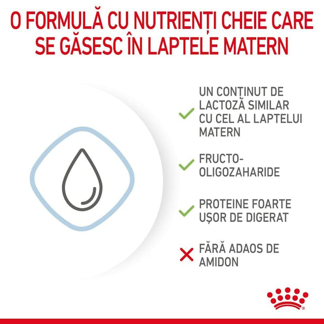 Royal Canin Baby Dog Milk 400 Gr