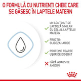Royal Canin Baby Dog Milk 400 Gr