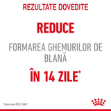 Royal Canin Hairball Care Gravy Plic 85 G