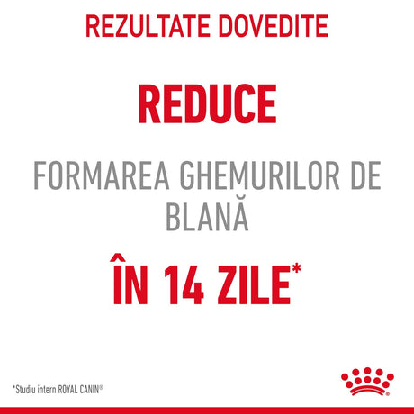 Royal Canin Hairball Care Gravy Plic 85 G
