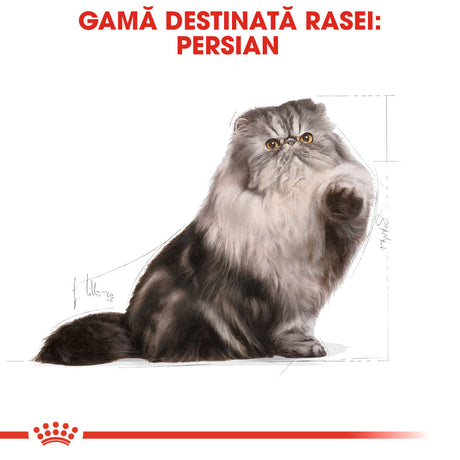 Royal Canin Persian Adult
