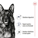 Royal Canin Maxi Adult 5+