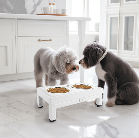 All for Paws Adjustable Double Feeder cu Doua Boluri 2x750 ML