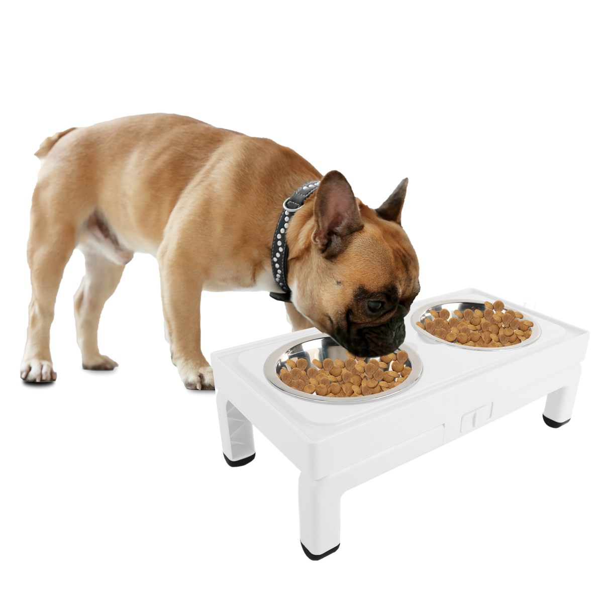 All for Paws Adjustable Double Feeder cu Doua Boluri 2x750 ML