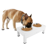 All for Paws Adjustable Double Feeder cu Doua Boluri 2x750 ML