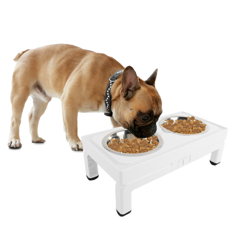 All for Paws Adjustable Double Feeder cu Doua Boluri 2x750 ML