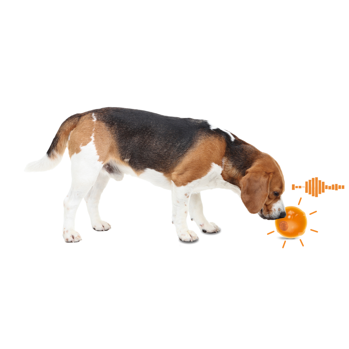 All for Paws Anti Anxiety Speaking Ball pentru Caini