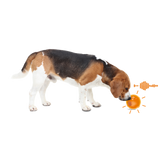 All for Paws Anti Anxiety Speaking Ball pentru Caini
