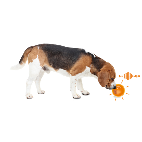 All for Paws Anti Anxiety Speaking Ball pentru Caini