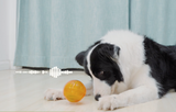All for Paws Anti Anxiety Speaking Ball pentru Caini