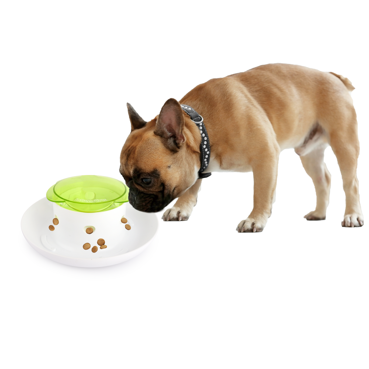 Afp All for Paws Dispenser Interactiv Dog Push 4 Meal - imagine 2