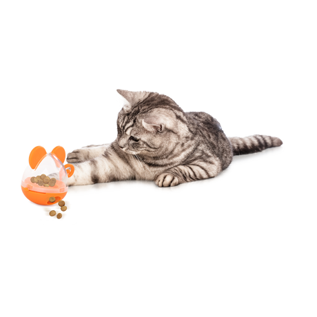 Afp All for Paws Jucarie Mickey the Dispenser pentru Pisici - imagine 2