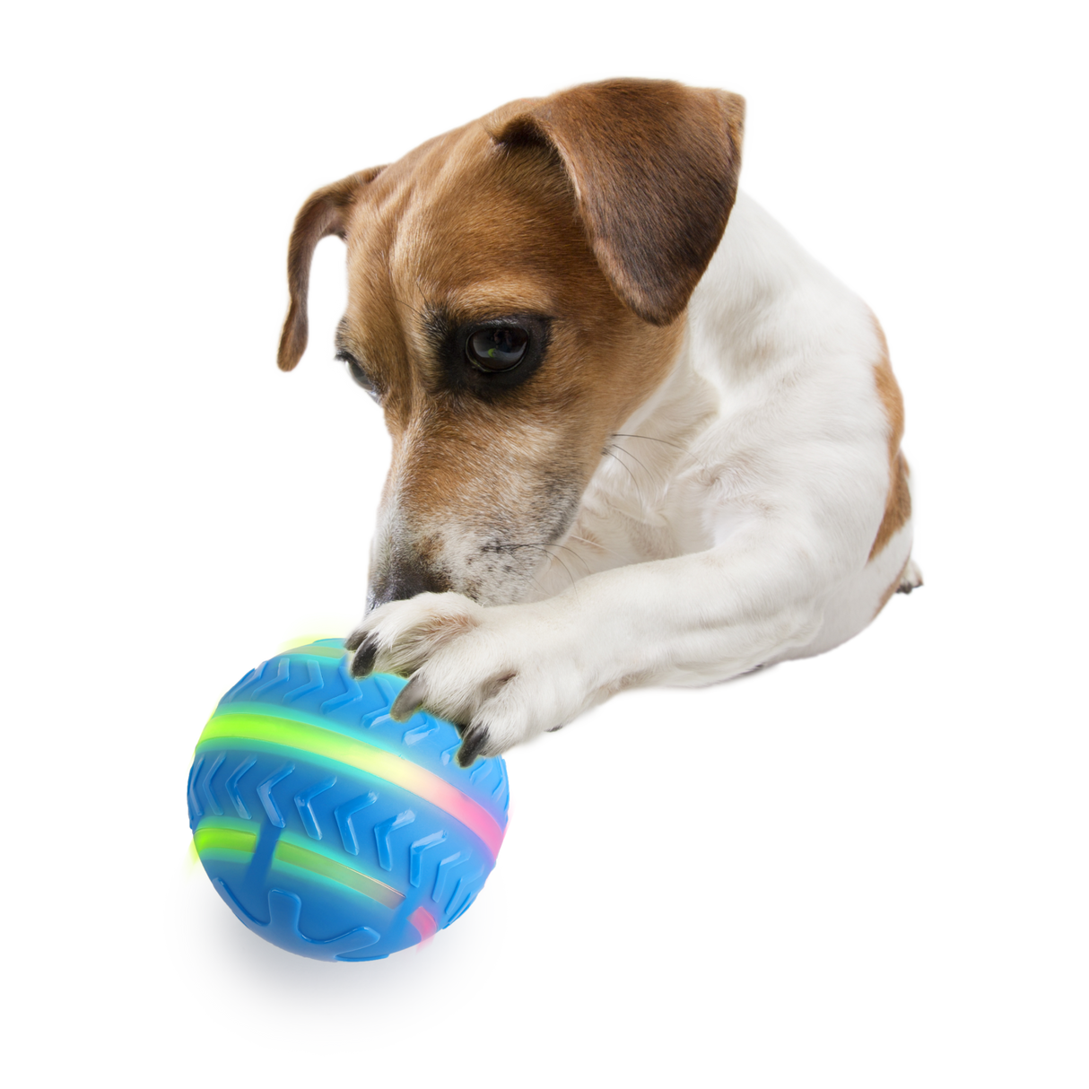 Afp All for Paws Minge Interactiva Motion Activated pentru Caini - imagine 2