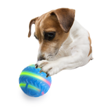 Afp All for Paws Minge Interactiva Motion Activated pentru Caini - imagine 2