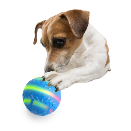 Afp All for Paws Minge Interactiva Motion Activated pentru Caini - imagine 2