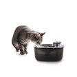 All for Paws Quiet Stream Cat Fantana pentru Pisici 2 L