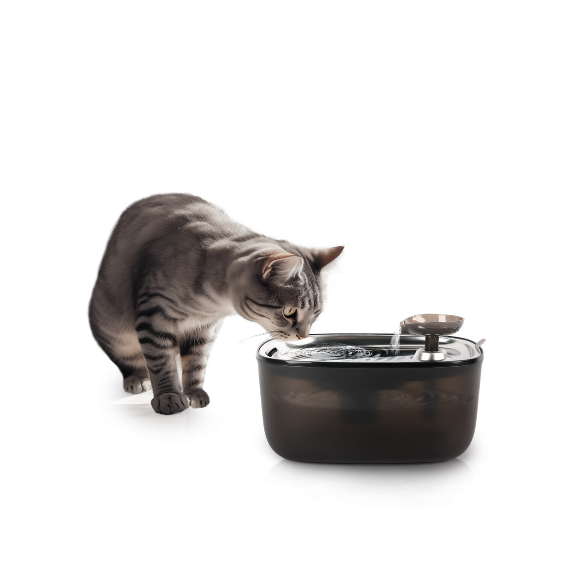 All for Paws Quiet Stream Cat Fantana pentru Pisici 2 L