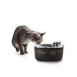 All for Paws Quiet Stream Cat Fantana pentru Pisici 2 L