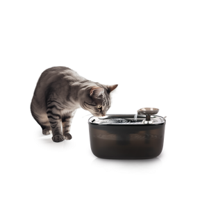 All for Paws Quiet Stream Cat Fantana pentru Pisici 2 L