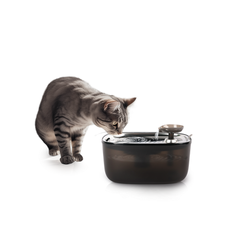 All for Paws Quiet Stream Cat Fantana pentru Pisici 2 L