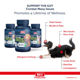 Bio PetActive Bio PetActive Synbioflora pentru Caini de Talie Mica - imagine 2