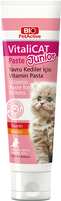 Bio PetActive Vitali Cat Junior Paste